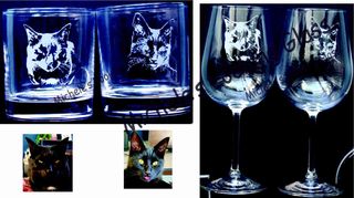Two cats on glasses